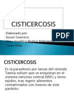 Cisticercosis Fisiologia