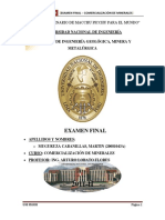 Examen Final Comercializacion de Minerales