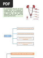 Sindrome de Infección Del Tracto Urinario