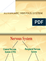 Autonomic Nervous System