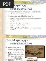 Plant Morphology - Plant Identification