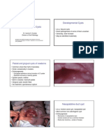 26 Non-Odontogenic Cysts