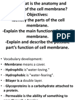 Cell Membrane