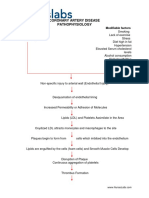 Coronary Artery Disease Pathophysiology PDF