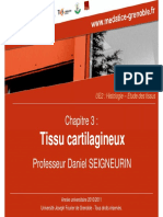 Tissu Cartilagineux 