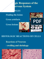 Pathologic Responses of The Nervous System: Gross Changes Finding The Lesion Gross Artefacts Gross Lesions