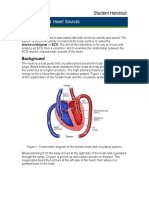 ECG & Heart Sounds: Student Handout