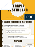 Terapia Vestibular Organizada