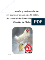 Evaluacion de Prefactibilidad de Granja de Pollos de Engorde en El Distrito de Mala - XLSX 1