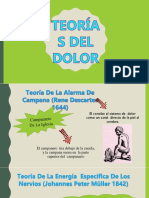 Teorias Del Dolor