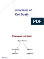 Mechanisms of Cell Death Notes