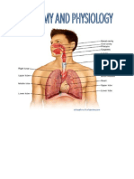 Anatomy and Physiology - Case Study