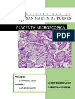 Placenta Microscopica