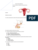 Guía de Ciencias Naturales 6° Año Básico Sist. Reproductor Humano