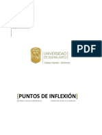 Puntos de Inflexión.