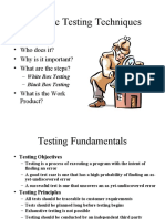 Software Testing Techniques