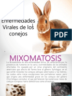 Enf - Viricas Conejos