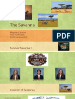 Savannas 2