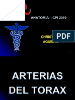 CFC - Arterias Del Torax