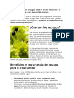 Articulo Cientifico