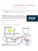 Photosynthèse Et Respiration.