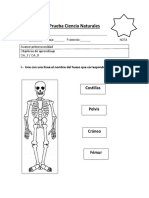 Prueba Ciencia Naturales