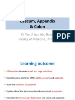 Colon, Caecum & Appendix 2017