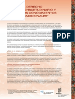 Derecho Consuetudinario PDF