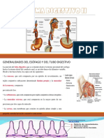 Histología Del SISTEMA DIGESTIVO II