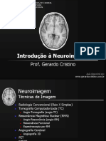 Introdução Neuroimagem