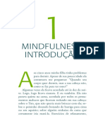 Mindfulness Introdução