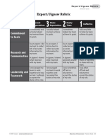 Expert-Jigsaw Rubric