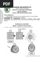 Modulo Reproduccion 7