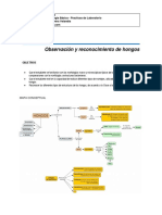 Guia No 7 Observacion y Reconocimiento de Hongos 2016-1