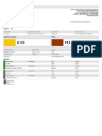 Metro-Score PPI: Customer Credit Report