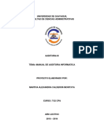 Manual de Auditoria Informatica