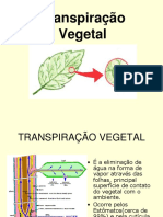 Transpiração Vegetal