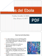 Virus Del Ebola