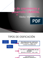 Teorías de Crecimiento y Desarrollo CRANEAL