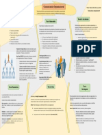 Comunicación Organizacional Infografía