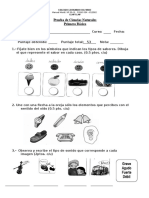 Prueba Los Sentidos 1 Basico