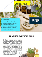 PLANTAS MEDICINALES Beneficios