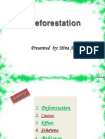 Deforestation