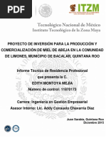 Proyecto Miel