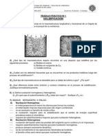 TP1 Solidificacion