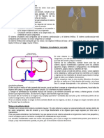 Sistema Circulatorio Abierto y Cerrado
