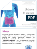 Aula - Síndrome Do Intestino Curto Prova 2