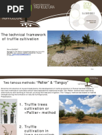 06 The Technical Framework of Truffle Cultivation