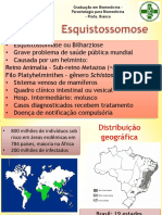 Esquistossomose