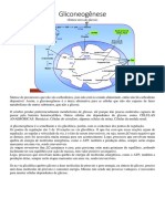 Gliconeogenese e Metabolismo de Carboidratos